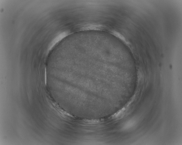 X0000061761219200512231542