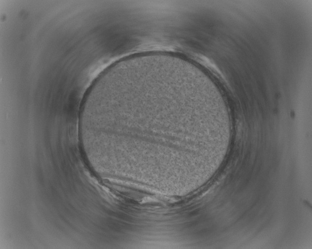 X0000061761220200512231542