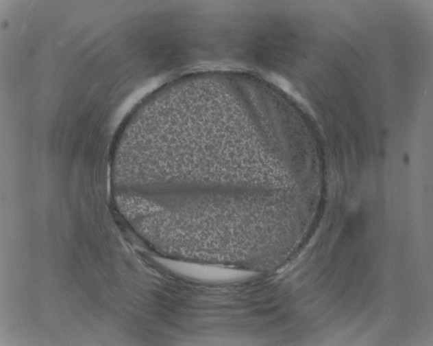 X0000061761221200512231542