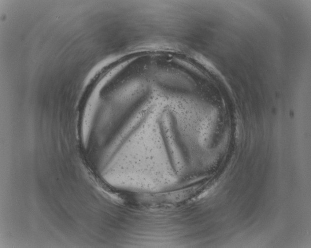 X0000061761222200512231542