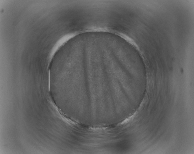 X0000061761223200512231542