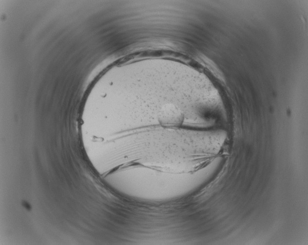 X0000061761226200512231542