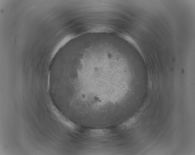 X0000061761227200512231542