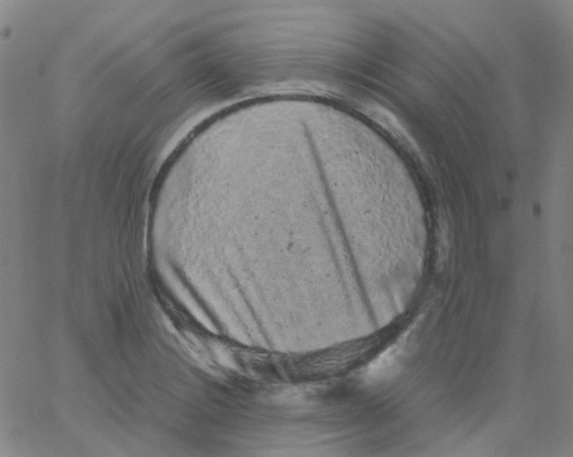 X0000061761228200512231542