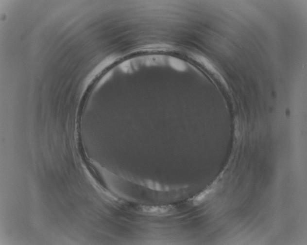 X0000061761229200512231542