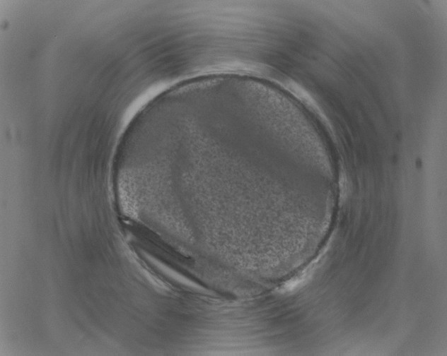 X0000061761230200512231542