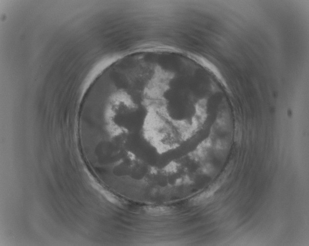 X0000061761231200512231542