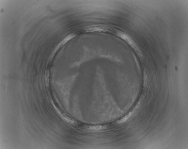 X0000061761233200512231542