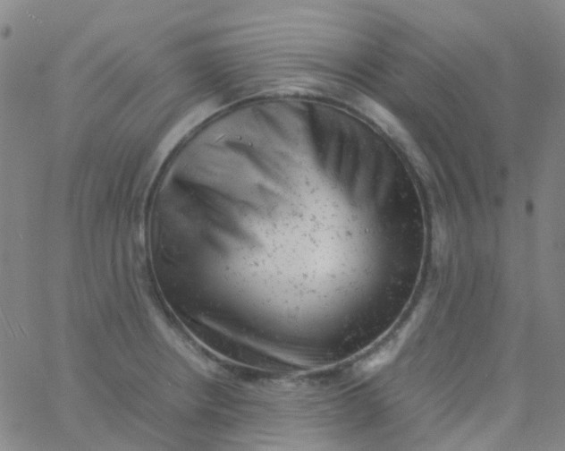 X0000061761234200512231543