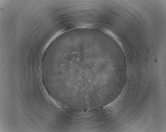 X0000061761235200512231543