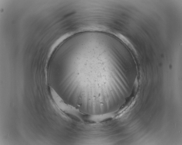 X0000061761238200512231543