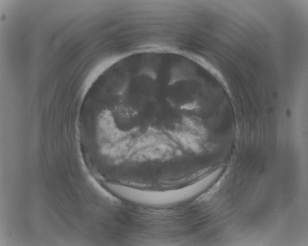 X0000061761239200512231543