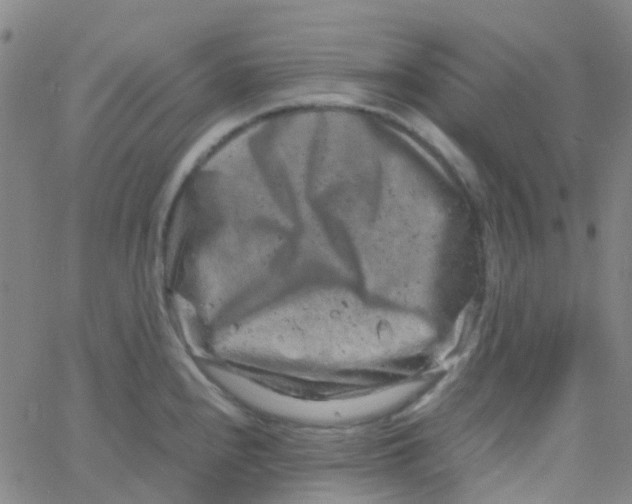 X0000061761240200512231543