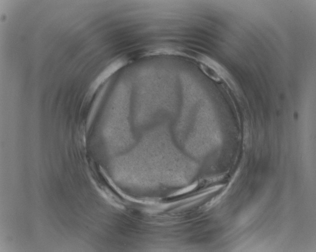 X0000061761241200512231543