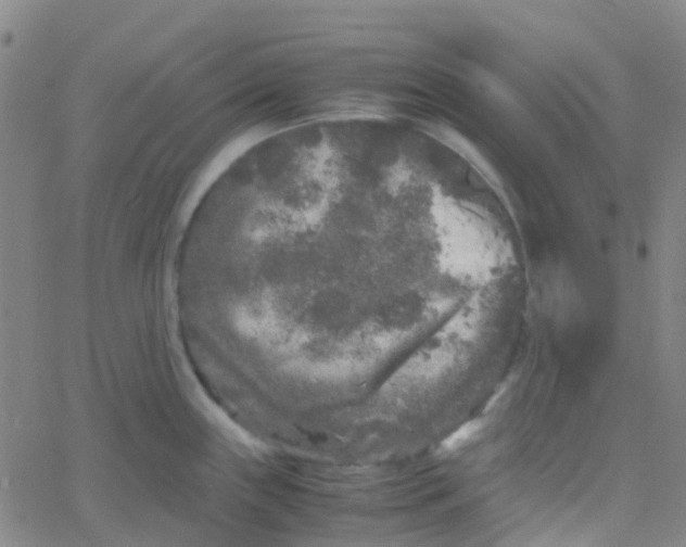 X0000061761243200512231543