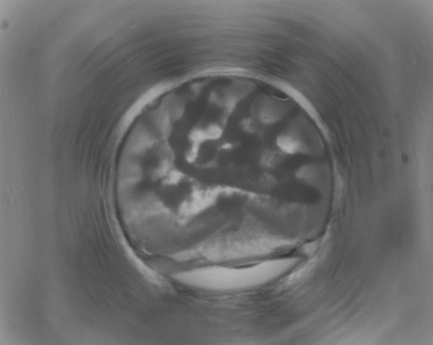 X0000061761245200512231543