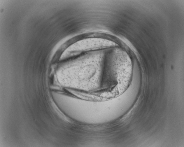 X0000061761246200512231543