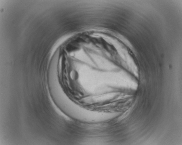 X0000061761247200512231543