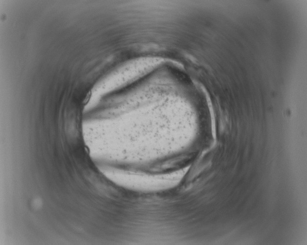 X0000061761250200512231542