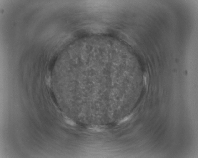 X0000061761251200512231542