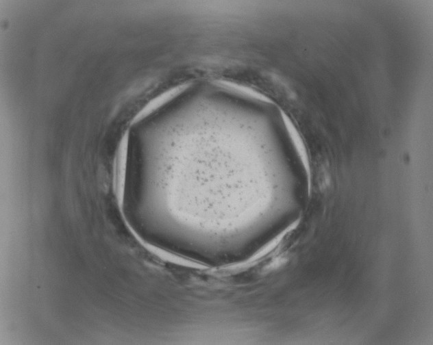 X0000061761253200512231542