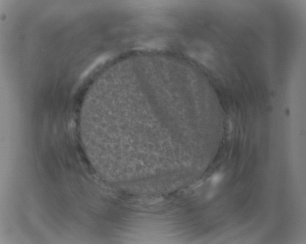 X0000061761254200512231542