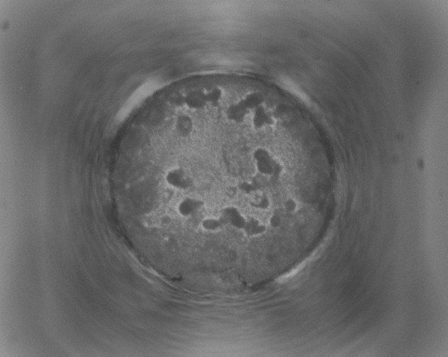 X0000061761259200512231542