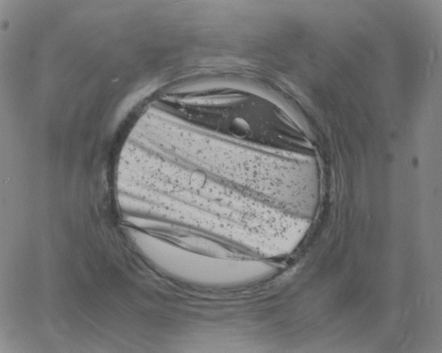 X0000061761261200512231542