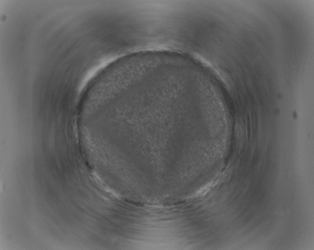 X0000061761262200512231542