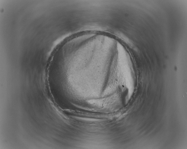 X0000061761264200512231542