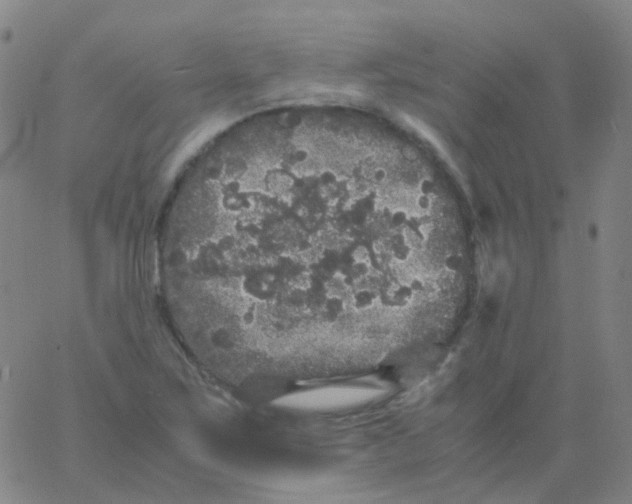 X0000061761267200512231542