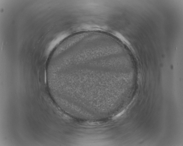 X0000061761269200512231542