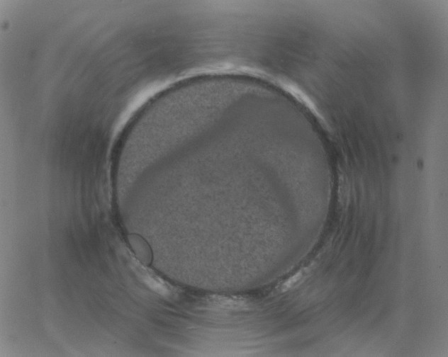 X0000061761270200512231542