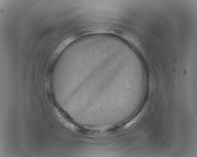 X0000061761273200512231542