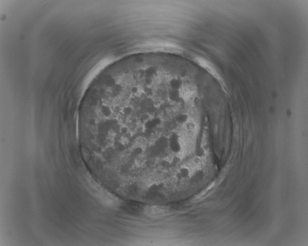 X0000061761275200512231542