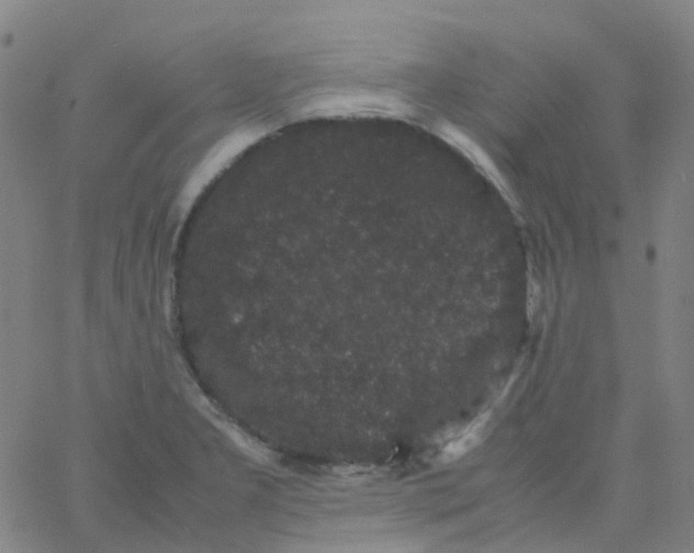 X0000061761277200512231541