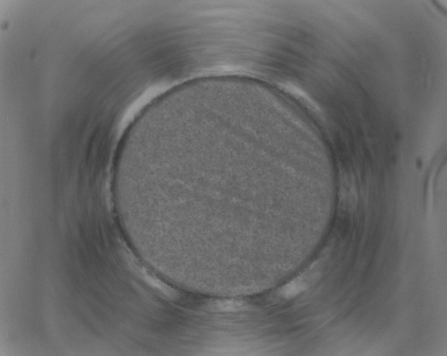 X0000061761278200512231541