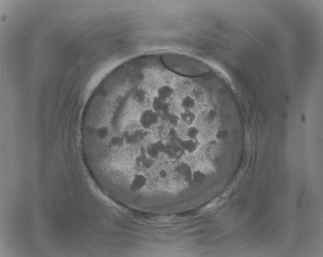 X0000061761279200512231541