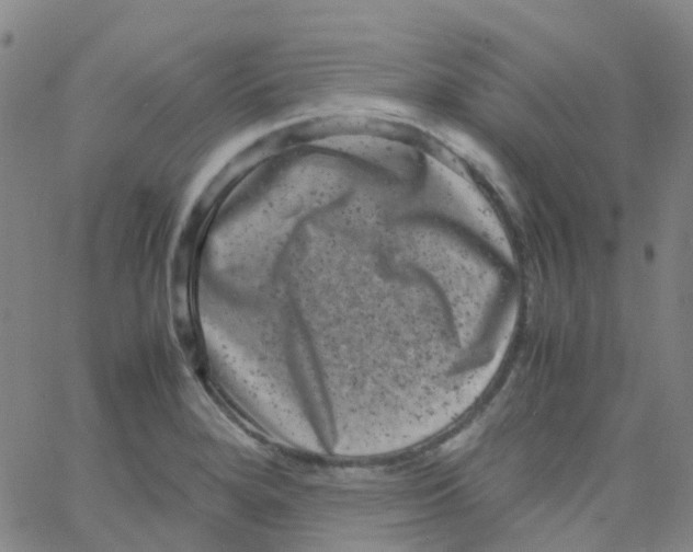 X0000061761280200512231541