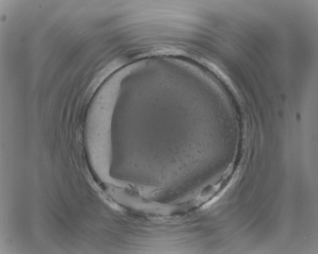 X0000061761281200512231541