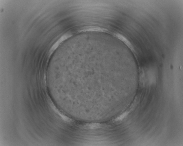 X0000061761282200512231541