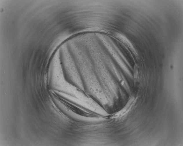 X0000061761284200512231541