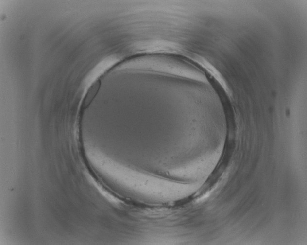 X0000061761285200512231541