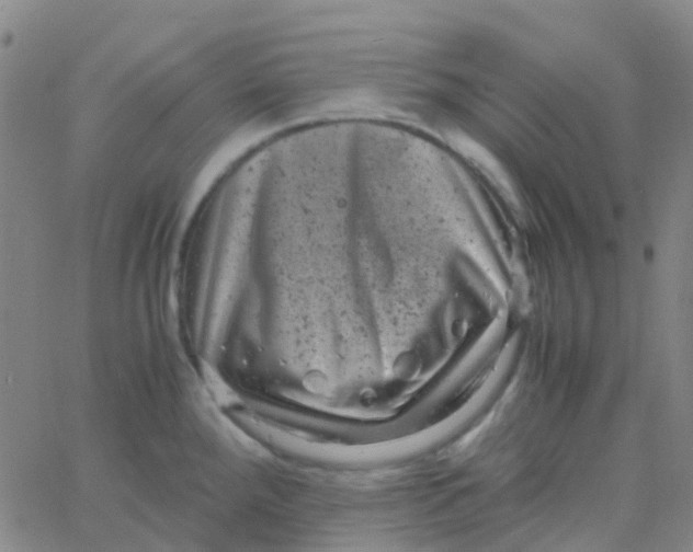 X0000061761288200512231541