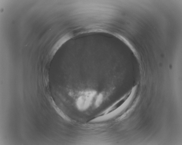 X0000061761289200512231541