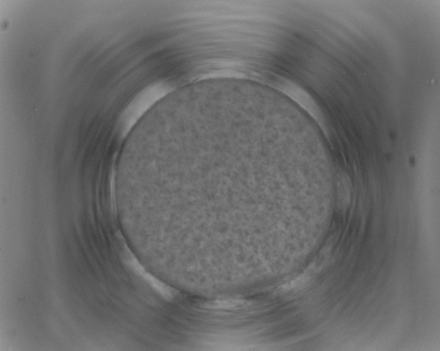 X0000061761290200512231541