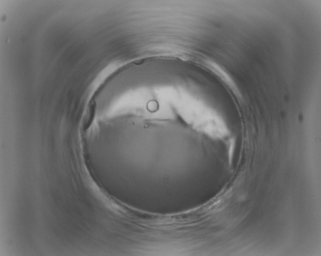 X0000061761291200512231541