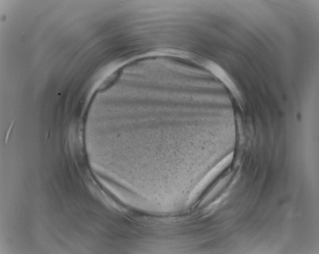 X0000061761292200512231541