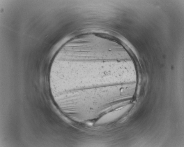 X0000061761293200512231541