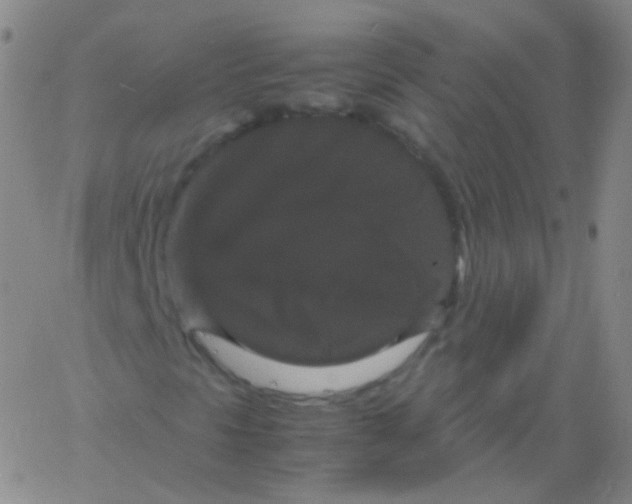 X0000061761297200512231540